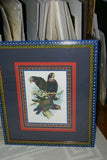 1978 AUSTRALIAN BIRD LITHOGRAPH FROM “PARROTS OF THE WORLD” BY BILL COOPER PROFESSIONALLY (X5) HAND PAINTED MATS AND FRAMED IN UNIQUE SIGNED HAND PAINTED FRAME 27" X 22,5" BEAUTIFUL DESIGNER WALL ART DÉCOR DFPO74