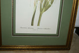 SIGNED UNIQUE DETAILED ARTIST HAND PAINTED FRAME MATTED REDOUTE PRINT Pancratium