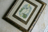 UNIQUE OLD LITHOGRAPH  ART BLUE EYED COCKATOO CACATUA OPHTHALMICA  PROFESSIONALLY X2 SILK MATTED & FRAMED IN SIGNED HAND PAINTED FRAME + GIFT OF A FREE BEAUTIFUL MATTED BARRABAND PARROT PRINT. PRICED AT FRACTION OF RETAIL