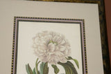 SIGNED UNIQUE DETAILED ARTIST HAND PAINTED FRAME MATTED REDOUTE PRINT RE10 PEONY