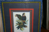 1978 AUSTRALIAN BIRD LITHOGRAPH FROM “PARROTS OF THE WORLD” BY BILL COOPER PROFESSIONALLY (X5) HAND PAINTED MATS AND FRAMED IN UNIQUE SIGNED HAND PAINTED FRAME 27" X 22,5" BEAUTIFUL DESIGNER WALL ART DÉCOR DFPO74
