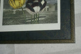 1956 botanical book lithograph limited to 1750 copies printed on Gelderland white cartridge 'The Beauties of Flora' Painted by T. Baxter, stipple engraving by J. Hopwood, background aquatinted by F.C Lewis and published by S. Curtis TULIPS 21" x 17"