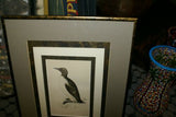 OVER 160 YEARS OLD ORIGINAL ANTIQUE H.C. HAND COLORED WOOD ENGRAVING FROM 1860 MORRIS BIRDS RINGED GUILLEMOT PENGUIN MATTED PROFESSIONALLY WITH 4 HIGH QUALITY ACID FREE MATS & CUSTOM FRAMED IN HANDPAINTED SIGNED FRAME