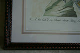 Rare Archival Art by Saverio Manetti (16 C.) Very Limited Edition Folio Lithograph of Cockatoo Parrot professionally framed in hand painted signed frame with x3 acid free mats 22,5" X 17,5" from "The Natural History of Birds" COLLECTOR ART