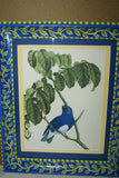 Professionally 2x Matted & in Hand-painted Frame 16 1/2" X 12 1/2" VERY RARE Authentic Limited Edition 1960 Descourtilz Folio of Hand-colored Tersine Bleue Bird Plate 12 from Brazil (DES17)