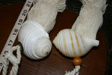 2 Pairs of very large Banded Tun Tonna Sulcosa Seashell Tassels, Pulls, Oceanic Art, South Pacific Home Decor Accent, Handcrafted Unique perfect for Designer Decorator Shell Collector Beach Lover Vacation Feel Pool Cabana