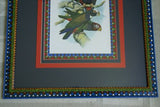 1978 AUSTRALIAN BIRD LITHOGRAPH FROM “PARROTS OF THE WORLD” BY BILL COOPER PROFESSIONALLY (X5) HAND PAINTED MATS AND FRAMED IN UNIQUE SIGNED HAND PAINTED FRAME 27" X 22,5" BEAUTIFUL DESIGNER WALL ART DÉCOR DFPO74