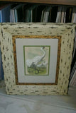 ORIGINAL ANTIQUE 1878 FOLIO PLATE FROM JACOB H. STUDER'S POPULAR ORNITHOLOGY, "THE BIRDS OF NORTH AMERICA" 1878 ILLUSTRATED FROM LIFE BY THEODORE JASPER.  CHOOSE EGRET OR PELICAN OR BOTH Professionally framed in custom frames with 2 acid free mats