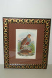 2 Original Axel Amuchastegui 1952 Highly Collectible Australian Bird lithographs  “Love Life of the Birds” on fine white rag paper PROFESSIONALLY X2 MATTED & FRAMED in Signed Hand Painted Frames EACH 18”X14” ONE FREE WITH ONE BARGAIN
