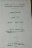 19th century TERN ANTIQUE AUTHENTIC 1897 ORIGINAL PRINT LLOYD'S NATURAL HISTORY BY BOWDLER SHARPE EDWARD LLOYD LIMITED, DOUBLE MATTED AND FRAMED PROFESSIONALLY IN UNIQUE HAND PAINTED FRAME SIGNED BY ARTIST, MAT ALSO HANDPAINTED
