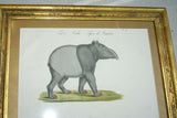 Very Rare 1833 Huge Hand Colored Folio Lithograph Carl Joseph Brodtmann Maiba Tapir & Bison Over 235 years old FROM Naturhistorische Bilder Gallerie aus dem Thierreiche on watermarked paper framed in vintage hand painted frame with mat.