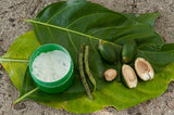 MELANESIA MASSIM TROBRIANDS ISLAND (BETEL LIME) UNIQUE WOOD CONTAINER SET (WITH DELICATELY HAND CARVED POUNDER), PATINA ON UNIQUE FUNNY & INTERESTING UMBRELLA RECEPTACLE WHICH COMES WITH A NICELY HAND CARVED MORE RECENT POUNDER. No BP6