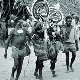 Bilas Melomelo Tribal Bailer, Cymbium Shell Called Gam by the Primitive Mendi Tribe’s “Big Men” that wear them as forehead decorations, & used them also as Currency, Bride Price, etc.. Collected in late 1900’s, Southern Highlands, Papua New Guinea BAL3