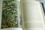 SOLD RARE Antique Book Library of Natural History by Richard Lydekker from 1901: "Invertebrate Animals" INSECTS BUTTERFLIES SCORPIONS STARFISH MOLLUSKSSOLD CRABS (Leather Bound with Gold Leaf Edges) RIVERSIDE PUBLISHING CO. 1901 CHICAGO