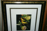 Professionally Triple Matted & in Hand-painted Frame 22" x 19" Rare Authentic Limited Edition 1960 Descourtilz Plate of Tropical Jamaica Oriole or Carouge Jamacaii Bird from Brazil. DES7