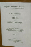 ANTIQUE AUTHENTIC 1897 19C SIGNED FRAMED LITHOGRAPH LLOYD'S NATURAL HISTORY BY BOWDLER SHARPE EDWARD SEAGULL TRIPLE MATTED & FRAMED WALL DÉCOR: FRAME AND MATS HAND PAINTED & SIGNED BY ARTIST