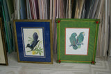 1978 AUSTRALIAN BIRD LITHOGRAPH FROM “PARROTS OF THE WORLD” BY BILL  COOPER PROFESSIONALLY X3 MATTED AND FRAMED IN UNIQUE SIGNED HAND PAINTED FRAME ADORNED WITH FRUIT & LEAVES: UNIQUE DESIGNER WALL ART DÉCOR ITEM DFPO75