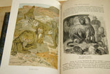 SOLD Very Rare Antique Book from the Library of Natural History by Richard Lydekker from 1901: "Mammals, Apes, Monkeys & Bats" (Leather Bound with Gold Leaf Edges) no foxing RIVERSIDE PUBLISHING COMPANY, 1901 CHICAGO