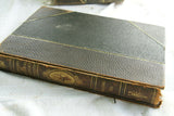 SOLD RARE Antique Book from the Library of Natural History by Richard Lydekker from 1901: "Starfish, Snails, Crinoids, & more" (Leather Bound with Gold Leaf Edges) THE RIVERSIDE PUBLISHING COMPANY, 1901 CHICAGO VOLUME IN GREAT CONDITION