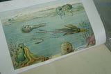 SOLD RARE Antique Book from the Library of Natural History by Richard Lydekker from 1901: "Starfish, Snails, Crinoids, & more" (Leather Bound with Gold Leaf Edges) THE RIVERSIDE PUBLISHING COMPANY, 1901 CHICAGO VOLUME IN GREAT CONDITION