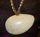 Bilas Melomelo Tribal Bailer, Cymbium Shell & Currency belt, Called Gam by the Primitive Mendi Tribe’s “Big Men” that wear them as a pectoral ornament, also Currency, Bride Price, Collected in late 1900’s, Southern Highlands, Papua New Guinea BAL4