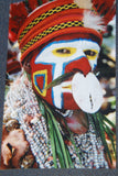 RARE UNIQUE AUTHENTIC COLORFUL FOLK ART PAINTING HILU TRIBE WARRIOR FROM PAPUA NEW GUINEA ARTIST FRAMED IN SIGNED HAND PAINTED FRAME TO MATCH THE ART WITHIN 31” by 27” DFP12 DESIGNER COLLECTOR WALL ART