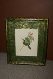 VERY RARE 1960 Rare Descourtilz Limited Edition Original Folio Lithograph Brazilian Bird Plate 51 Jacobin Hummingbird or Oiseau-Mouche a Collier and Red Ginger