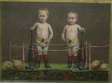 EPHEMERA AMERICANA WHIMSICAL ART: VERY RARE FRAMED VICTORIAN TRADE CARD: GERMAN COFFEE TOLEDO SPICE, WRESTLER BOXER BOYS IN RING BOXING (DFPO1L) 1800's DESIGNER COLLECTOR COLLECTIBLE WALL DÉCOR UNIQUE