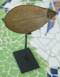 Very Rare Older Coconut Shell Cannibal Spoon or Ompi from the Azera (Adzera) People, Markham Valley, Morobe Province. Papua New Guinea. Private Collection, Mid 20th Century. ITEM SP3C comes with metal custom stand, highly collectible.