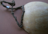 Bilas Melomelo Tribal Baler, Cymbium Shell Called Gam by the Primitive Mendi Tribe’s “Big Men” that wear them as Penis cover & pectoral Adornment, Currency, Bride Price, Boat Bailer, Collected in Mid 1900’s, Southern Highlands, Papua New Guinea BAL1