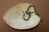 Bilas Melomelo Tribal Baler, Cymbium Shell Called Gam by the Primitive Mendi Tribe’s “Big Men” that wear them as Penis cover & pectoral Adornment, Currency, Bride Price, Boat Bailer, Collected in Mid 1900’s, Southern Highlands, Papua New Guinea BAL1