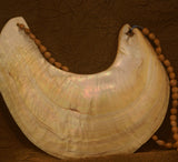 Museum Bride Price Currency, Rare Perfect Ceremonial Moka Kina Shell Necklace (Huge Mother of Pearl Crescent) Pectoral Collected from the Foi Tribe (Papua New Guinea), Late 1900’s, Highly Collectible. KINA12