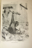 SOLD Very Rare Antique Book from the Library of Natural History by Richard Lydekker from 1901: "Mammals, Apes, Monkeys & Bats" (Leather Bound with Gold Leaf Edges) no foxing RIVERSIDE PUBLISHING COMPANY, 1901 CHICAGO