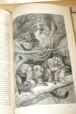 SOLD Very Rare Antique Book from the Library of Natural History by Richard Lydekker from 1901: "Mammals, Apes, Monkeys & Bats" (Leather Bound with Gold Leaf Edges) no foxing RIVERSIDE PUBLISHING COMPANY, 1901 CHICAGO