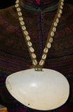 Bilas Melomelo Tribal Bailer, Cymbium Shell & Currency belt, Called Gam by the Primitive Mendi Tribe’s “Big Men” that wear them as a pectoral ornament, also Currency, Bride Price, Collected in late 1900’s, Southern Highlands, Papua New Guinea BAL4