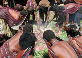 Very Rare Huge Old Ethnic Hunting & Gathering Water Gourd, Calabash Decorated with Woven Bark Strips, Nassa Shells & Seed Beads, Dani Tribe, Baliem Valley, Irian Jaya, West Papua, 30" Long, collected in late 20th Century
