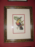 VERY RARE 1960 Rare Descourtilz Limited Edition Original Folio Lithograph Brazilian Bird Plate 27 Chesnut-Backed Tanager or Tangara Passe-Vert