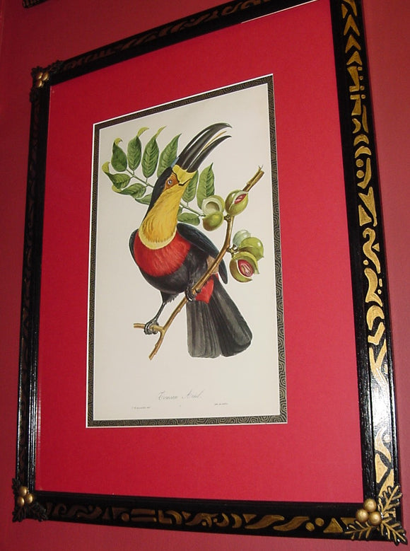 DESCOURTILZ LITHOGRAPHS FROM PAGEANTRY OF AMERICAN BIRDS