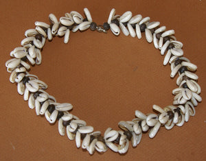 Unique Older Nassa Shells & Black Beads Necklace, Body Ornament and Currency, Trade Item,  Worn during Festivals, Initiations, Rites of passage or used for payments, bride price etc…  Highlands of Papua New Guinea. NECK46