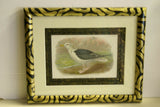 ANTIQUE AUTHENTIC 1897 19C SIGNED FRAMED LITHOGRAPH LLOYD'S NATURAL HISTORY BY BOWDLER SHARPE EDWARD SEAGULL TRIPLE MATTED & FRAMED WALL DÉCOR: FRAME AND MATS HAND PAINTED & SIGNED BY ARTIST