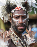 Unique Older Nassa Shells & Black Beads Necklace, Body Ornament and Currency, Trade Item, Worn during Festivals, Initiations, Rites of passage or used for payments, bride price etc… Highlands of Papua New Guinea. NECK47