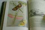 SOLD RARE Antique Book Library of Natural History by Richard Lydekker from 1901: "Invertebrate Animals" INSECTS BUTTERFLIES SCORPIONS STARFISH MOLLUSKSSOLD CRABS (Leather Bound with Gold Leaf Edges) RIVERSIDE PUBLISHING CO. 1901 CHICAGO