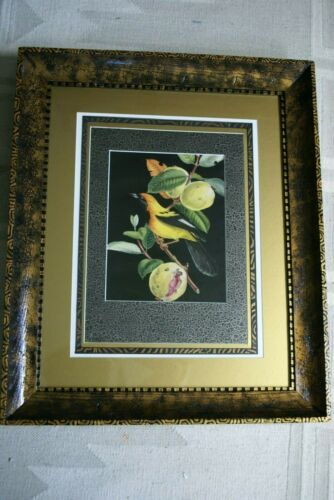 Professionally 5x Matted & in Hand-painted Frame 24