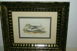 19th century GULL ANTIQUE AUTHENTIC 1897 ORIGINAL PRINT LLOYD'S NATURAL HISTORY BY BOWDLER SHARPE EDWARD LLOYD LIMITED, DOUBLE MATTED AND FRAMED PROFESSIONALLY IN UNIQUE HAND PAINTED FRAME SIGNED BY ARTIST, 1 MAT ALSO HANDPAINTED FRENCH STYLE