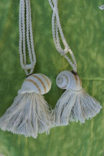 1 Pair of very large Banded Tun Tonna Sulcosa Seashell Tassels, Pulls, Oceanic Art, South Pacific Home Decor Accent, Handcrafted Unique perfect for Designer Decorator Shell Collector Beach Lover Vacation Feel Pool Cabana