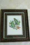 1978 AUSTRALIAN BIRD LITHOGRAPH FROM “PARROTS OF THE WORLD” BY BILL  COOPER PROFESSIONALLY X3 MATTED AND FRAMED IN UNIQUE SIGNED HAND PAINTED FRAME 20,5" X 17,5" BEAUTIFUL DESIGNER WALL ART DÉCOR DFPN89