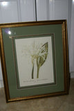 SIGNED UNIQUE DETAILED ARTIST HAND PAINTED FRAME MATTED REDOUTE PRINT Pancratium