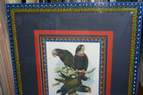 1978 AUSTRALIAN BIRD LITHOGRAPH FROM “PARROTS OF THE WORLD” BY BILL COOPER PROFESSIONALLY (X5) HAND PAINTED MATS AND FRAMED IN UNIQUE SIGNED HAND PAINTED FRAME 27" X 22,5" BEAUTIFUL DESIGNER WALL ART DÉCOR DFPO74