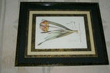 REDOUTE CYRTANTHUS KNYSNA LILY HAND PAINTED SIGNED FRAME 4x MATS FLOWER PRINT