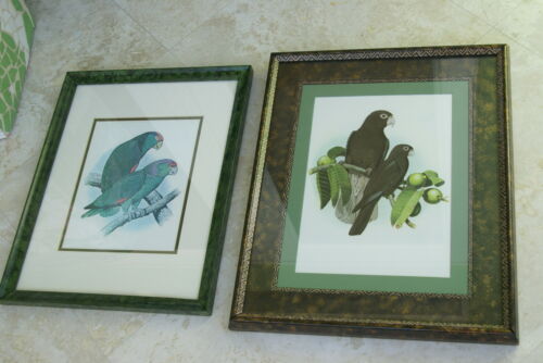 2 for 1 FRAMED ART: 1978 AUSTRALIAN BIRD LITHOGRAPHS FROM “PARROTS OF THE WORLD” BY BILL COOPER PROFESSIONALLY MATTED AND FRAMED IN UNIQUE SIGNED HAND PAINTED FRAMES 21